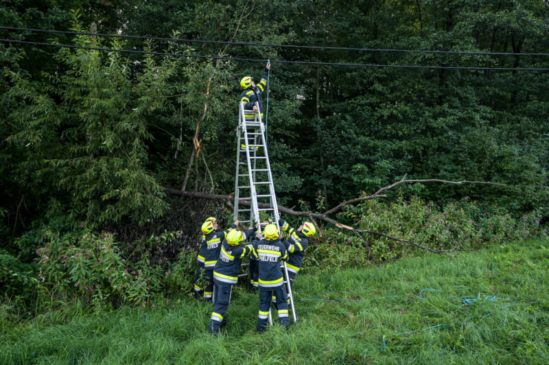 Baum Auf Stromleitung Freiwillige Feuerwehr Spielfeld